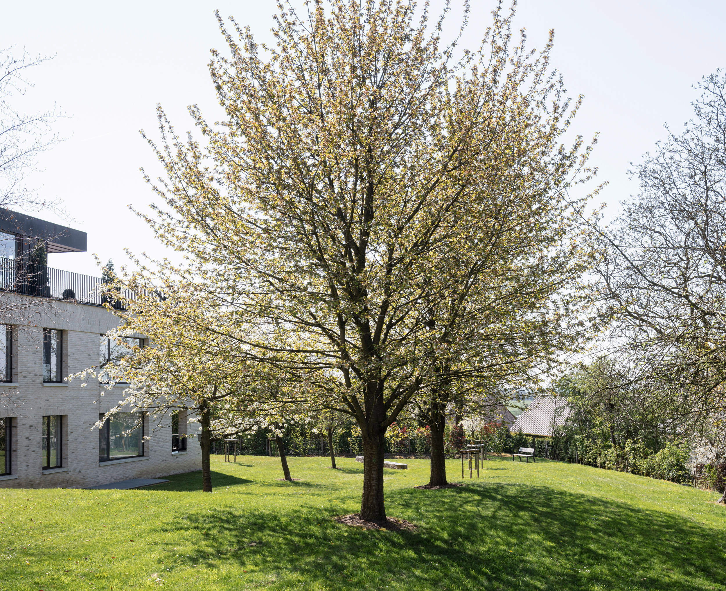 Landinzicht_Boomgaard_Borgloon_MDC